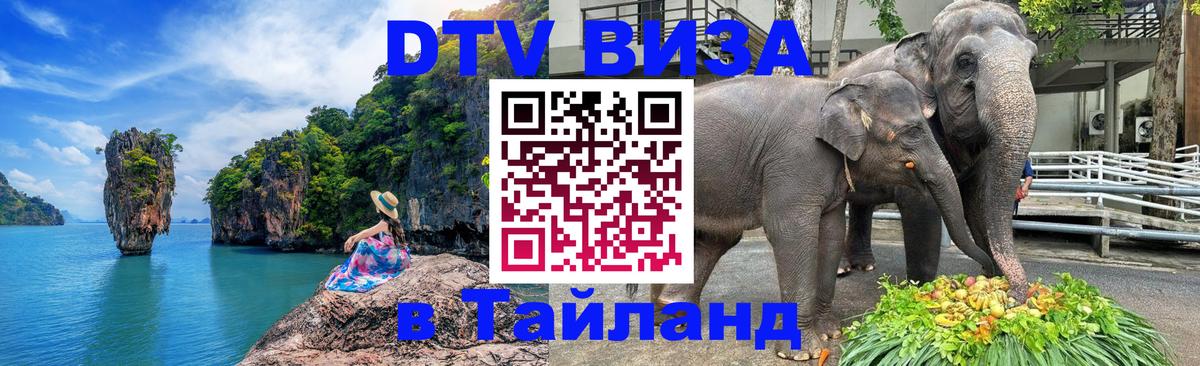 Сколько стоит DTV виза — актуальные цены, оформление даже без документов - Рыбинск 